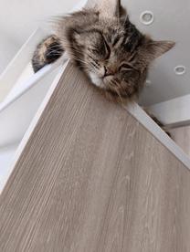 ���ε����β���