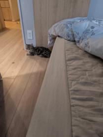 ���ε����β���