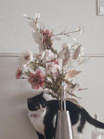 ���ε����β���