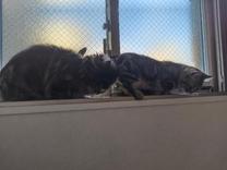 ���ꂸ��...