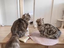 ���ε����β���