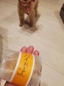 ���ε����β���