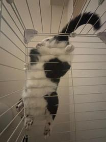 ���ε����β���