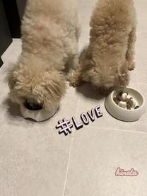 ���ε����β���