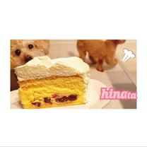 ���ε����β���