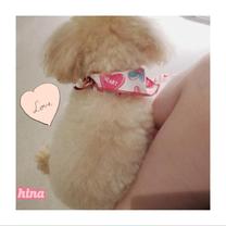 ���ε����β���