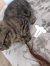 ���ε����β���