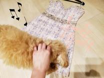 ���ε����β���