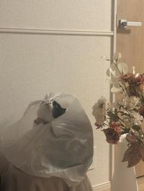 ���ε����β���