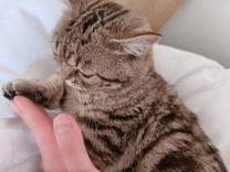 ���ε����β���