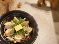 ���ε����β���