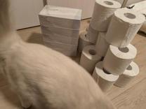 ���ε����β���