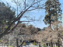 �^�C�g��...