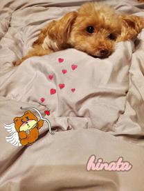 ���̃A��...