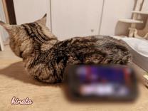 ���ε����β���