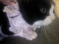 ���ε����β���