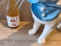 �u���O�摜