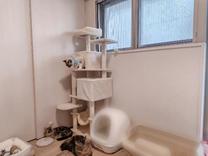 �u���O�摜