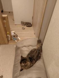 �u���O�摜