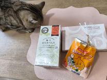 �u���O�摜