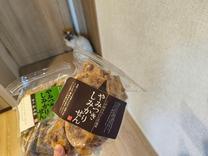 �u���O�摜