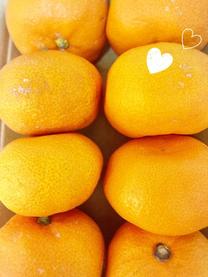 ���ε����β���