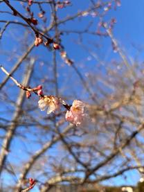 ���ε����β���