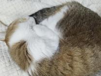 [����]fro...