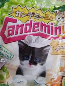 ���ε����β���