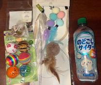 �u���O�摜