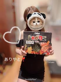 �������炨�₷��?