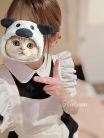 ���ε����β���