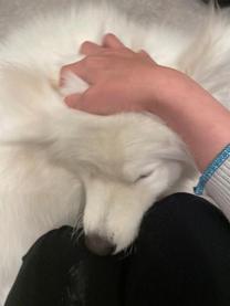 �u���O�摜