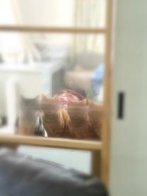 ���ε����β���