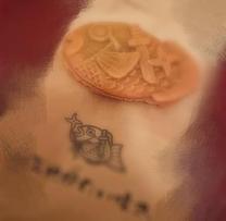 ���ε����β���