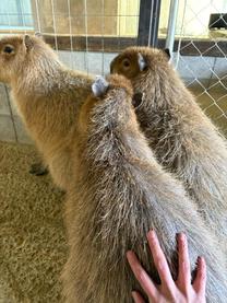 [����]from:���Ƃ��?����