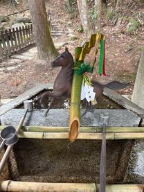 ���ε����β���