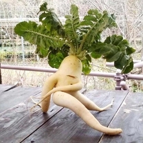 ���͂悲����