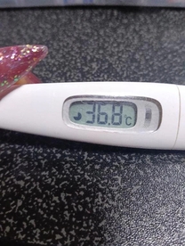 �u���O�摜