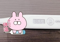 �����̑̉�