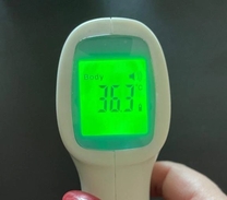 �����̑̉�