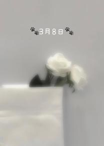 ij