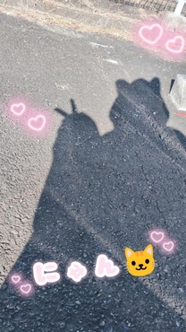 �u���O�摜