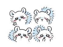 �u���O�摜