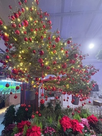 ���ε����β���