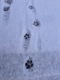 �����܂�...