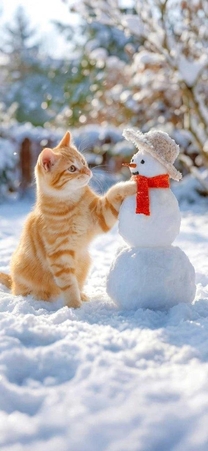 ���ε����β���