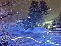 �����́c.*...