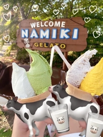 �u���O�摜