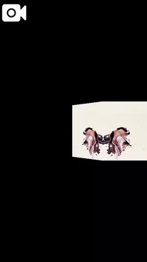 ���ε����β���